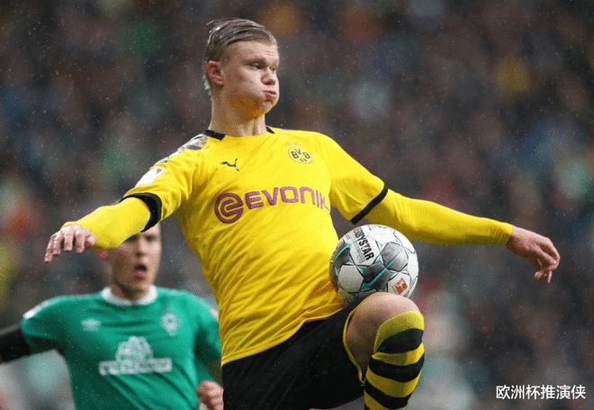 末轮可能与